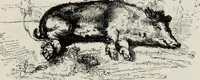 An illustration from A treatise on wood engravings : historical and practical (1881)