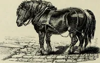 An illustration from A treatise on wood engravings : historical and practical (1881)