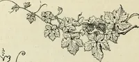 An illustration from A treatise on wood engravings : historical and practical (1881)