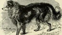An illustration from A treatise on wood engravings : historical and practical (1881)