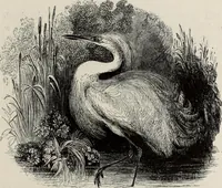 An illustration from A treatise on wood engravings : historical and practical (1881)
