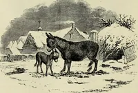 Picture 360 of 371 from A treatise on wood engravings : historical and practical (1881), leaf 687