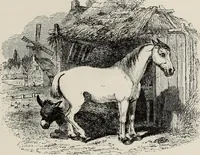 An illustration from A treatise on wood engravings : historical and practical (1881)