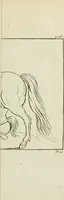 An illustration from A treatise on painting (1796)