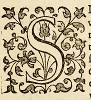An illustration from A treatise paraenetical, that is to say, an exhortation. : Wherein is shewed by good and euident reasons, infallible arguments, most true and certaine histories, and notable examples; the right way & true meanes to resist the violence of the Castilian king: to breake the course of his desseignes: to beat downe his pride, and to ruinate his puissance. Dedicated to the kings, princes, potentates and commonweales of Christendome: and particularly to the most Christian king: (1598)