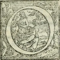 An illustration from Tre discorsi sopra il modo d'alzar acqve da' lvoghi bassi : per adacquar terreni : per leuar l'acque sorgenti & piouute dalle cãpagne, che non possono naturalmente dare loro il decorso : per mandare l'acqua da bere alle città, che n'hanno bisogno, & per altri simili vsi (1567)