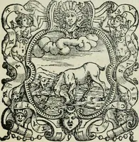 An illustration from Tre discorsi sopra il modo d'alzar acqve da' lvoghi bassi : per adacquar terreni : per leuar l'acque sorgenti & piouute dalle cãpagne, che non possono naturalmente dare loro il decorso : per mandare l'acqua da bere alle città, che n'hanno bisogno, & per altri simili vsi (1567)
