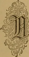 An illustration from The tree of knowledge; a startling scientific study of the original sin, and the sin of the angels, with a history of spiritism in all ages (1894)