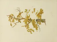 Picture 2 of 23 from Trees and how to paint them in watercolours (1883), leaf 21