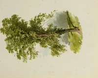 Picture 9 of 23 from Trees and how to paint them in watercolours (1883), leaf 34