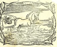 An illustration from Tre orationi di Rvzzante, recitate in lingva rvstica alli illvstris. signori cardinali Cornari & Pisani : con vno ragionamento & vno sprolico, insieme con vna lettera scritta allo Aluarotto per lo istezzo Ruzante : tutte opere ingeniose, argute, & di marauiglioso piacere, non piu stampate (1555)