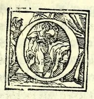 An illustration from Tre orationi di Rvzzante, recitate in lingva rvstica alli illvstris. signori cardinali Cornari & Pisani : con vno ragionamento & vno sprolico, insieme con vna lettera scritta allo Aluarotto per lo istezzo Ruzante : tutte opere ingeniose, argute, & di marauiglioso piacere, non piu stampate (1555)