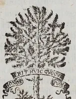 An illustration from Tres epistolae de macvlis solaribvs : scriptae ad Marcvm Velservm ... Cum obseruationum iconismis (1612)