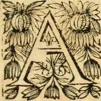 An illustration from Tresor de recherches et antiquitez gavloises et Françoises, reduites en ordre alphabetique : et enrichies de beaucoup d'origines, epitaphes, & autres choses rares & curieuses, comme aussi de beaucoup de mots de la langue thyoise ou theuthfranque (1655)