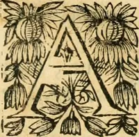 An illustration from Tresor de recherches et antiquitez gavloises et Françoises, reduites en ordre alphabetique : et enrichies de beaucoup d'origines, epitaphes, & autres choses rares & curieuses, comme aussi de beaucoup de mots de la langue thyoise ou theuthfranque (1655)