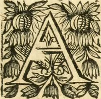 An illustration from Tresor de recherches et antiquitez gavloises et Françoises, reduites en ordre alphabetique : et enrichies de beaucoup d'origines, epitaphes, & autres choses rares & curieuses, comme aussi de beaucoup de mots de la langue thyoise ou theuthfranque (1655)
