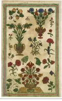 An illustration from Trevelyon Miscellany Of 1608 (1608)
