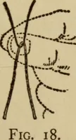 An illustration from Tricks and magic made easy, by Edward Summers Squier, M.A (1919)