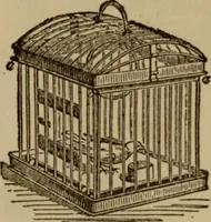 An illustration from Tricks and magic made easy, by Edward Summers Squier, M.A (1919)