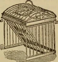 An illustration from Tricks and magic made easy, by Edward Summers Squier, M.A (1919)