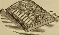 An illustration from Tricks and magic made easy, by Edward Summers Squier, M.A (1919)
