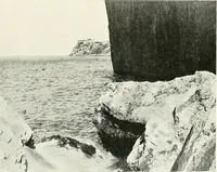 An illustration from Trieste (1906)