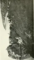 An illustration from Trieste (1906)