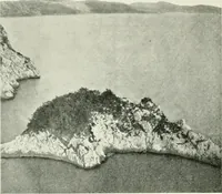 An illustration from Trieste (1906)