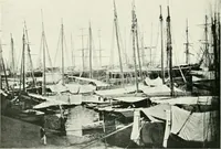 An illustration from Trieste (1906)