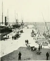 An illustration from Trieste (1906)
