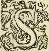 An illustration from Trigonometria Plana et Sphaerica, Linearis, and Logarithmica (1643)