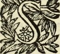 An illustration from Trigonometria Plana et Sphaerica, Linearis, and Logarithmica (1643)