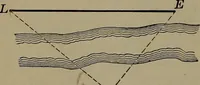 An illustration from Trigonometry, surveying and navigation (1903)