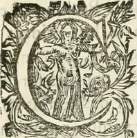 Picture 11 of 15 from Discours sur les arcs triomphaux dressés en la ville d'Aix, : a l'heureuse arrivée de Monseigneur le duc de Bourgogne, & de Monseigneur le duc de Berry (1701), leaf 36