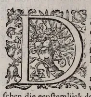 Picture 5 of 8 from Triomph vande waerachtige kercke ende vande catholycke religie over de atheisten, Mahomentaen, Heydenen, Ioden, schismatycken, alle soorten van ketters, ende sectarisen, beschreven door den eerw (1673), leaf 52