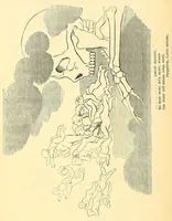 Picture 2 of 18 from Trionfo e danza della morte; o, Danza macabra a Clusone; Dogma della morte a Pisogne nella provincia di Bergamo (1859), leaf 20