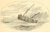 Picture 13 of 28 from A trip to Newfoundland; its scenery and fisheries; with an account of the laying of the submarine telegraph cable (1855), leaf 51