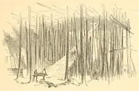 Picture 16 of 28 from A trip to Newfoundland; its scenery and fisheries; with an account of the laying of the submarine telegraph cable (1855), leaf 61