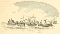 Picture 25 of 28 from A trip to Newfoundland; its scenery and fisheries; with an account of the laying of the submarine telegraph cable (1855), leaf 99