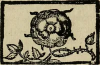 An illustration from [Triumpho del monarcha Philippo Terceiro en la felicissima entrada de Lisboa (1610)