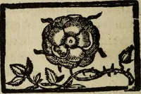 An illustration from [Triumpho del monarcha Philippo Terceiro en la felicissima entrada de Lisboa (1610)