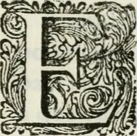 An illustration from Triumpho Lusitano, aplauzos festivos : sumptuosidades regias nos augustos despozorios do inclito Dom Pedro Segundo com a Serenissima Maria Sophia Izabel de Babiera, monarchas de Portugal : rellataõse as grandezas, narraõse as entradas referemse as festividades que se celebraraõ na insigne cidade e corte de Lisboa, desde 11. de agosto aihe 25. de outubro de 1687 : cujas descripcoes dedica ao senhor Jeronimo Nunes da Costa (1688)