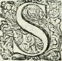 An illustration from Triumpho Lusitano, aplauzos festivos : sumptuosidades regias nos augustos despozorios do inclito Dom Pedro Segundo com a Serenissima Maria Sophia Izabel de Babiera, monarchas de Portugal : rellataõse as grandezas, narraõse as entradas referemse as festividades que se celebraraõ na insigne cidade e corte de Lisboa, desde 11. de agosto aihe 25. de outubro de 1687 : cujas descripcoes dedica ao senhor Jeronimo Nunes da Costa (1688)