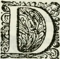 An illustration from Triumpho Lusitano, aplauzos festivos : sumptuosidades regias nos augustos despozorios do inclito Dom Pedro Segundo com a Serenissima Maria Sophia Izabel de Babiera, monarchas de Portugal : rellataõse as grandezas, narraõse as entradas referemse as festividades que se celebraraõ na insigne cidade e corte de Lisboa, desde 11. de agosto aihe 25. de outubro de 1687 : cujas descripcoes dedica ao senhor Jeronimo Nunes da Costa (1688)