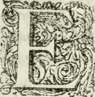 An illustration from Triumpho Lusitano, aplauzos festivos : sumptuosidades regias nos augustos despozorios do inclito Dom Pedro Segundo com a Serenissima Maria Sophia Izabel de Babiera, monarchas de Portugal : rellataõse as grandezas, narraõse as entradas referemse as festividades que se celebraraõ na insigne cidade e corte de Lisboa, desde 11. de agosto aihe 25. de outubro de 1687 : cujas descripcoes dedica ao senhor Jeronimo Nunes da Costa (1688)