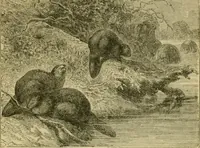 An illustration from Triumphs of invention and discovery in art and science (1876)