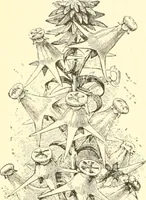 Picture 62 of 366 from Triumphs and wonders of the 19th century, a volume of original, historic and descriptive writings showing the many and marvellous achievements which distinguish an hundred years of material, intellectual, social and moral progress (1901), leaf 123