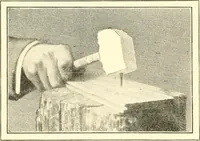 An illustration from Triumphs and wonders of the 19th century, a volume of original, historic and descriptive writings showing the many and marvellous achievements which distinguish an hundred years of material, intellectual, social and moral progress (1901)