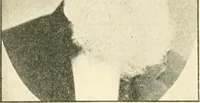 An illustration from Triumphs and wonders of the 19th century, a volume of original, historic and descriptive writings showing the many and marvellous achievements which distinguish an hundred years of material, intellectual, social and moral progress (1901)