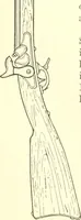 An illustration from Triumphs and wonders of the 19th century, a volume of original, historic and descriptive writings showing the many and marvellous achievements which distinguish an hundred years of material, intellectual, social and moral progress (1901)